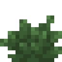 bush