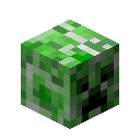 creeper_head