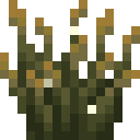 firefly_bush