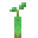 mangrove_propagule