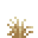 short_dry_grass