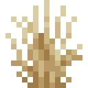 tall_dry_grass