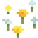 wildflowers